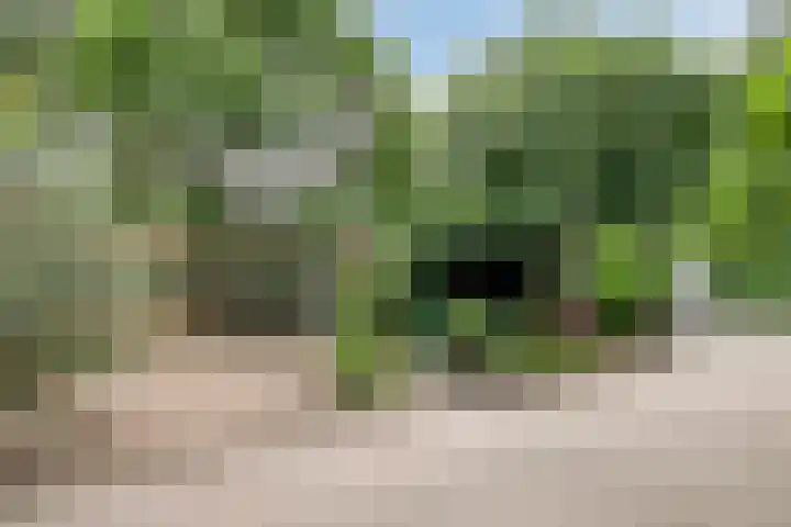 Veluwehof 96 Helmond thumbnail 45