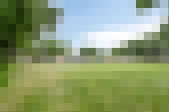 Veluwehof 96 Helmond thumbnail 47