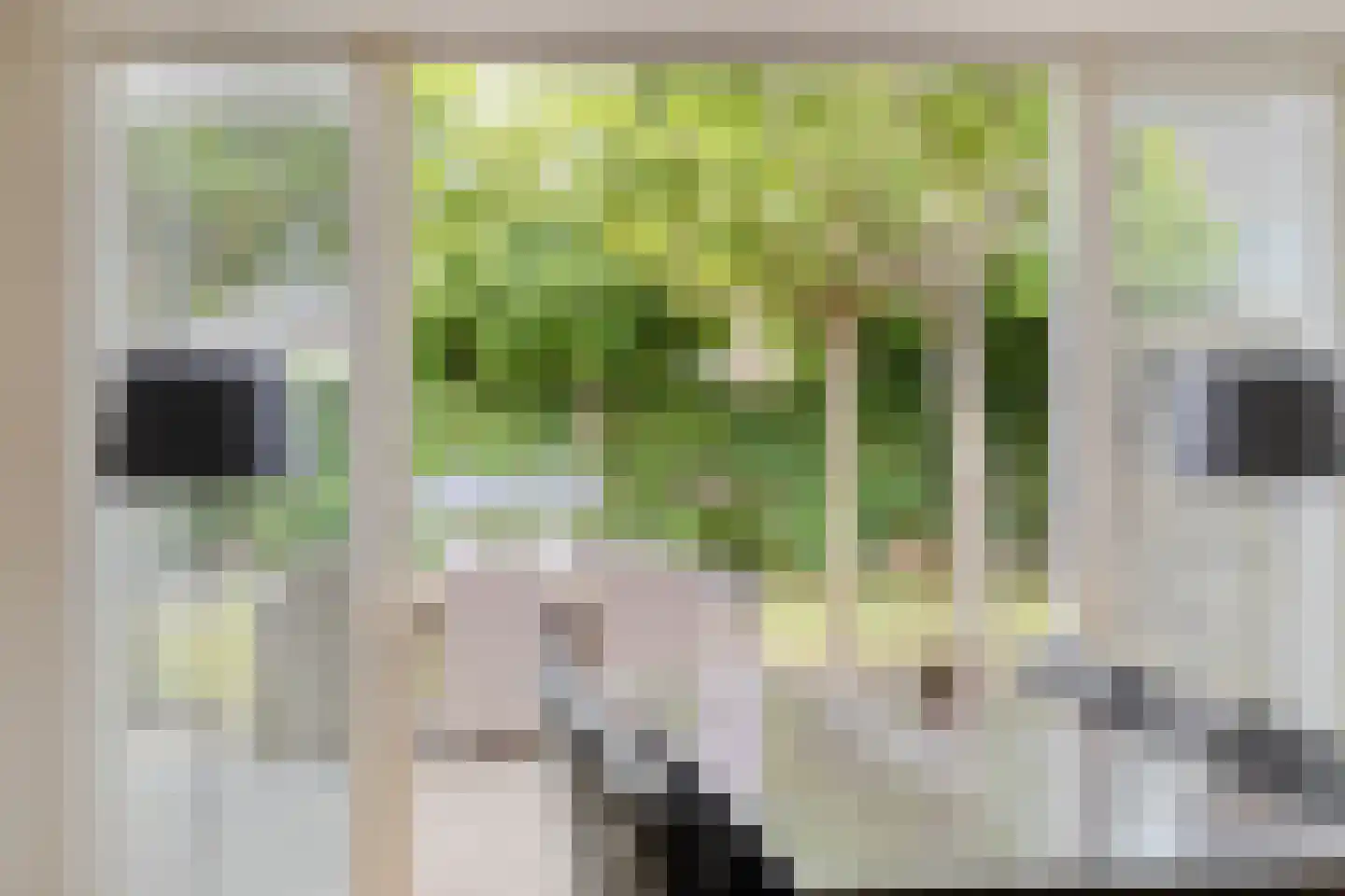 Veluwelaan 1 Heerenveen thumbnail 13