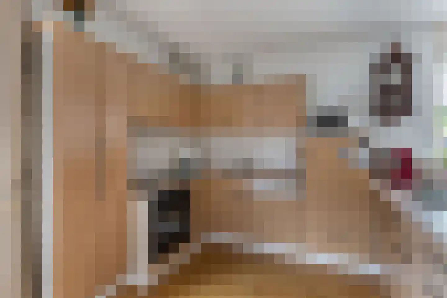 Veluwelaan 10 Heerenveen thumbnail 15