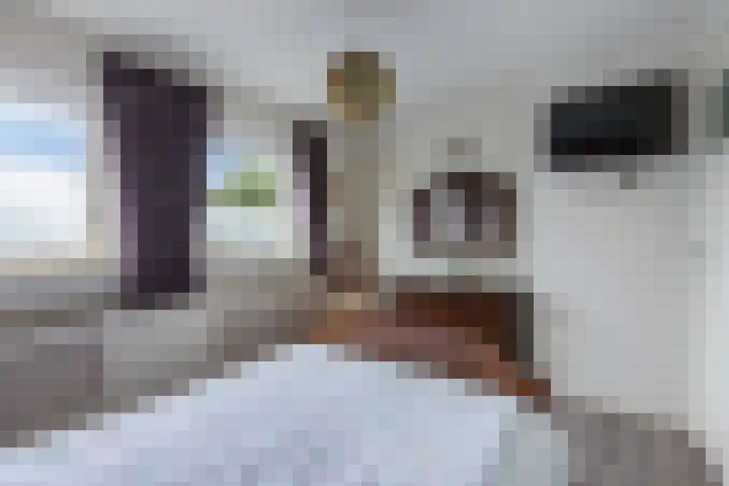 Veluwelaan 10 Heerenveen thumbnail 21