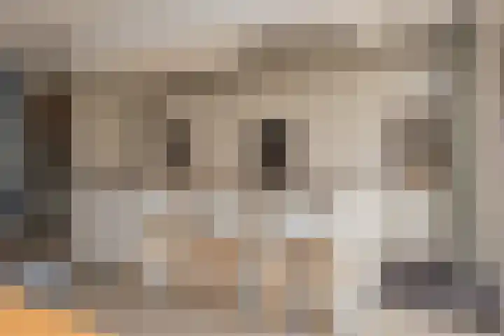 Veluwelaan 11 Wezep thumbnail 18