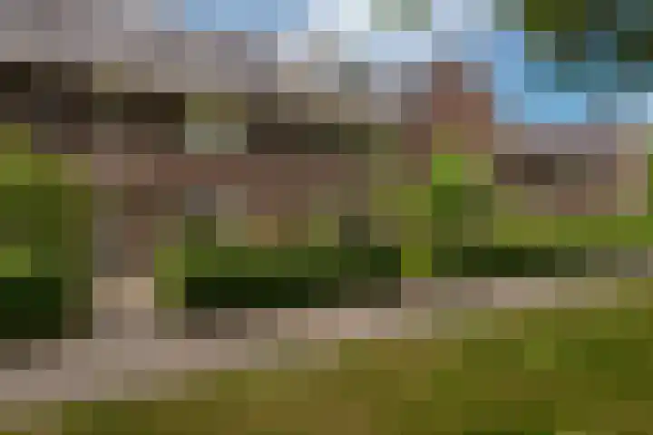 Veluwelaan 11 Wezep foto 2