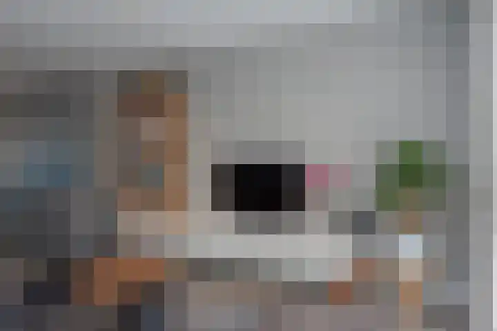 Veluwelaan 11 Wezep thumbnail 23