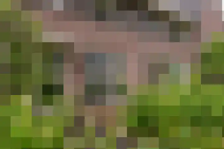 Veluwelaan 11 Wezep foto 3