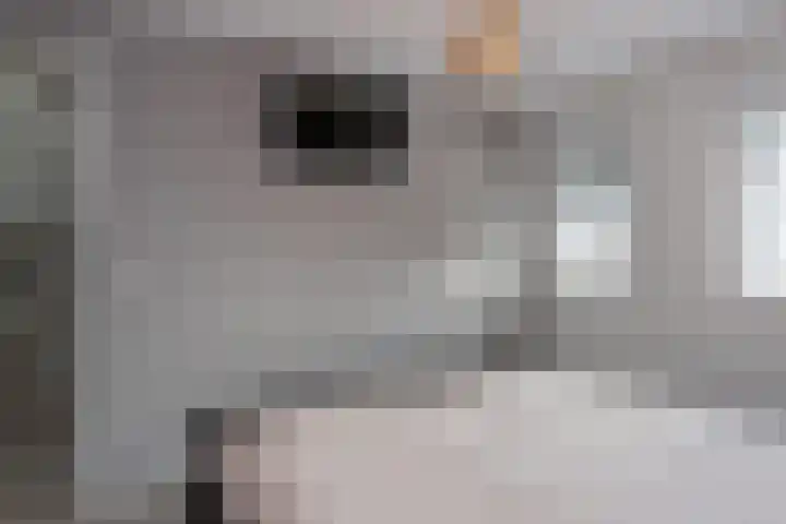 Veluwelaan 11 Wezep thumbnail 33