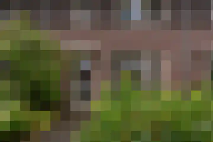 Veluwelaan 11 Wezep thumbnail 4