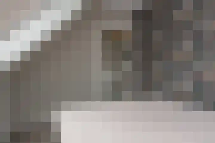 Veluwelaan 11 Wezep thumbnail 45