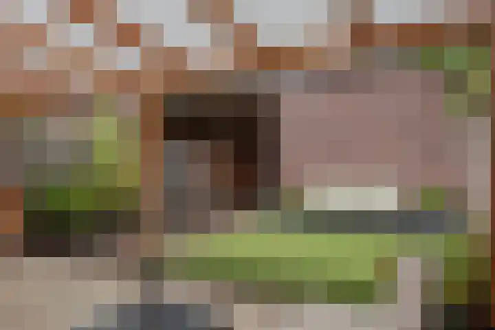 Veluwelaan 11 Wezep thumbnail 51