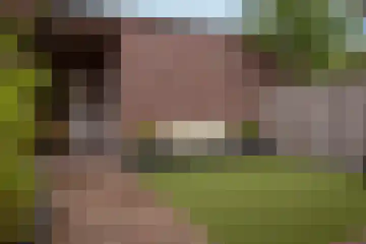 Veluwelaan 11 Wezep thumbnail 57