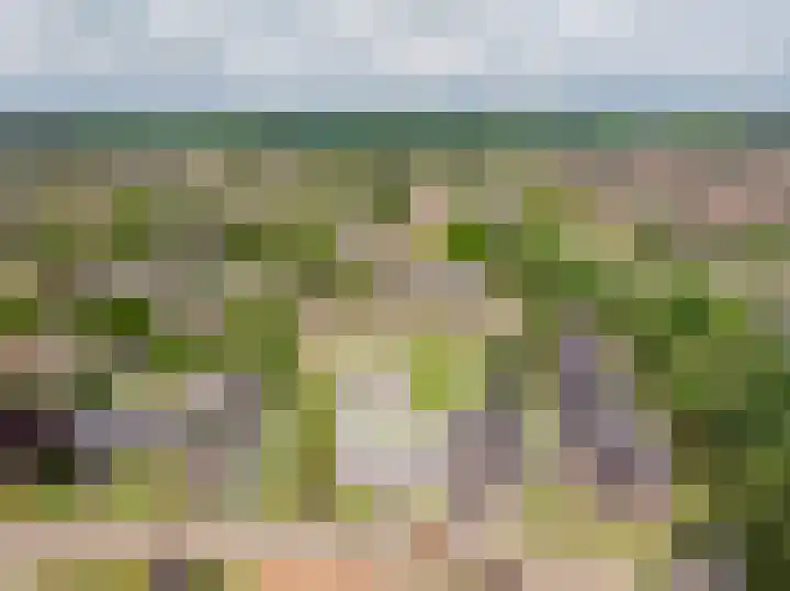 Veluwelaan 11 Wezep thumbnail 61