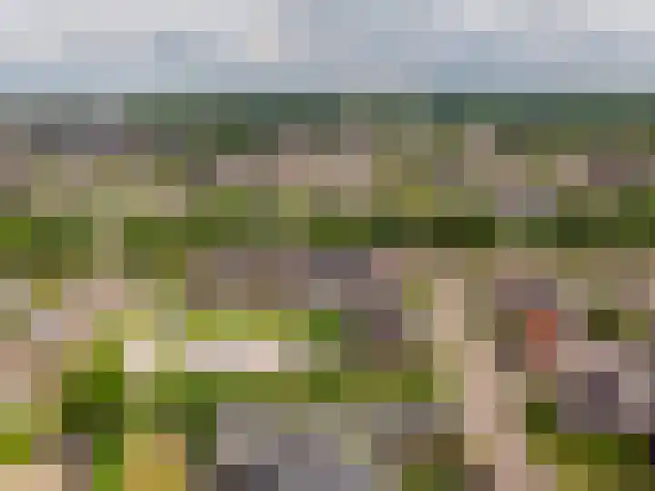 Veluwelaan 11 Wezep thumbnail 63