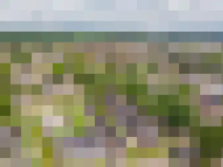 Veluwelaan 11 Wezep thumbnail 64