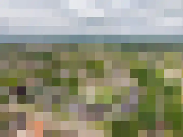Veluwelaan 11 Wezep thumbnail 65
