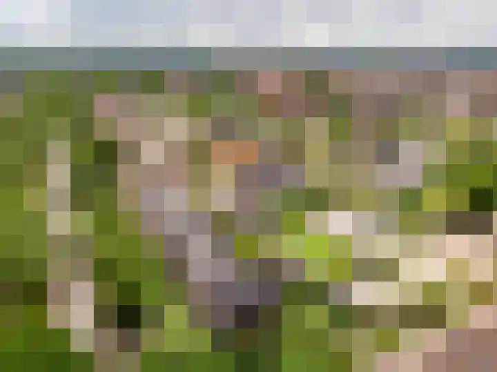 Veluwelaan 11 Wezep thumbnail 66