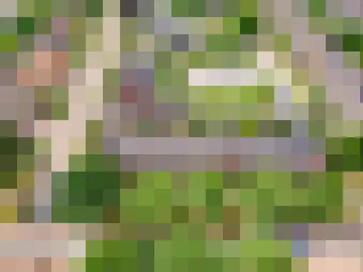 Veluwelaan 11 Wezep thumbnail 67