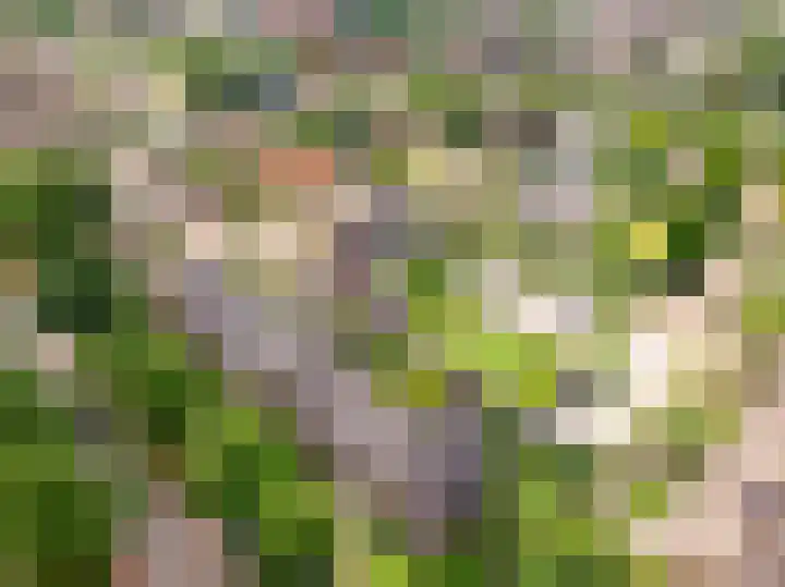 Veluwelaan 11 Wezep thumbnail 68