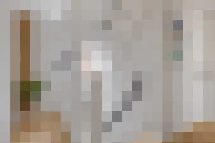 Veluwelaan 17 Heerenveen thumbnail 24
