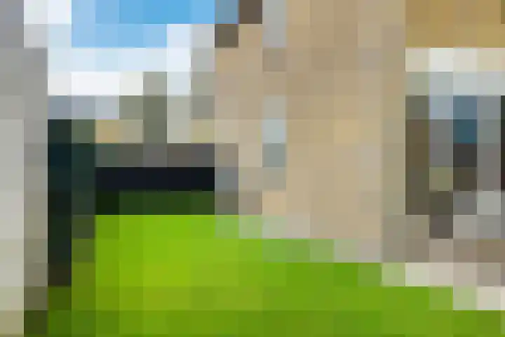 Veluwelaan 17 Heerenveen thumbnail 48