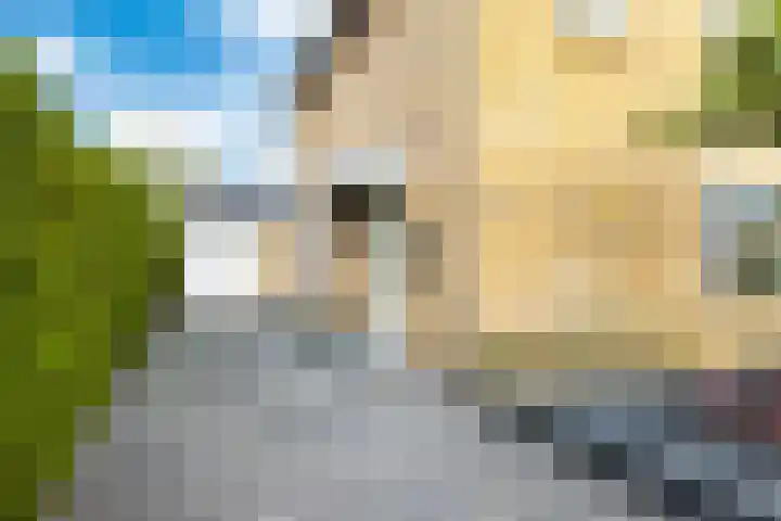 Veluwelaan 17 Heerenveen thumbnail 6