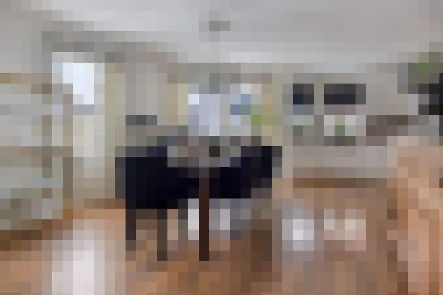 Veluwelaan 2 Wezep thumbnail 29