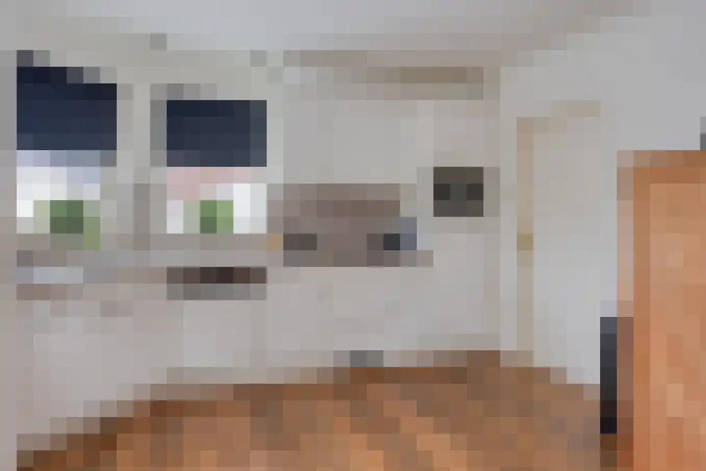 Veluwelaan 2 Wezep thumbnail 30