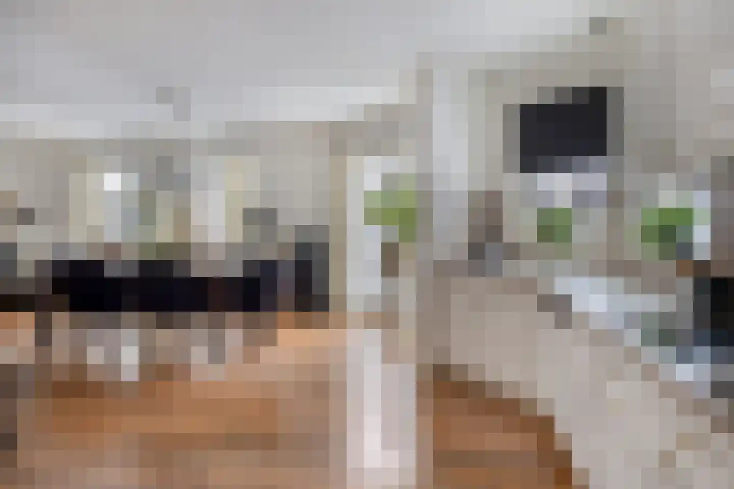 Veluwelaan 2 Wezep thumbnail 31