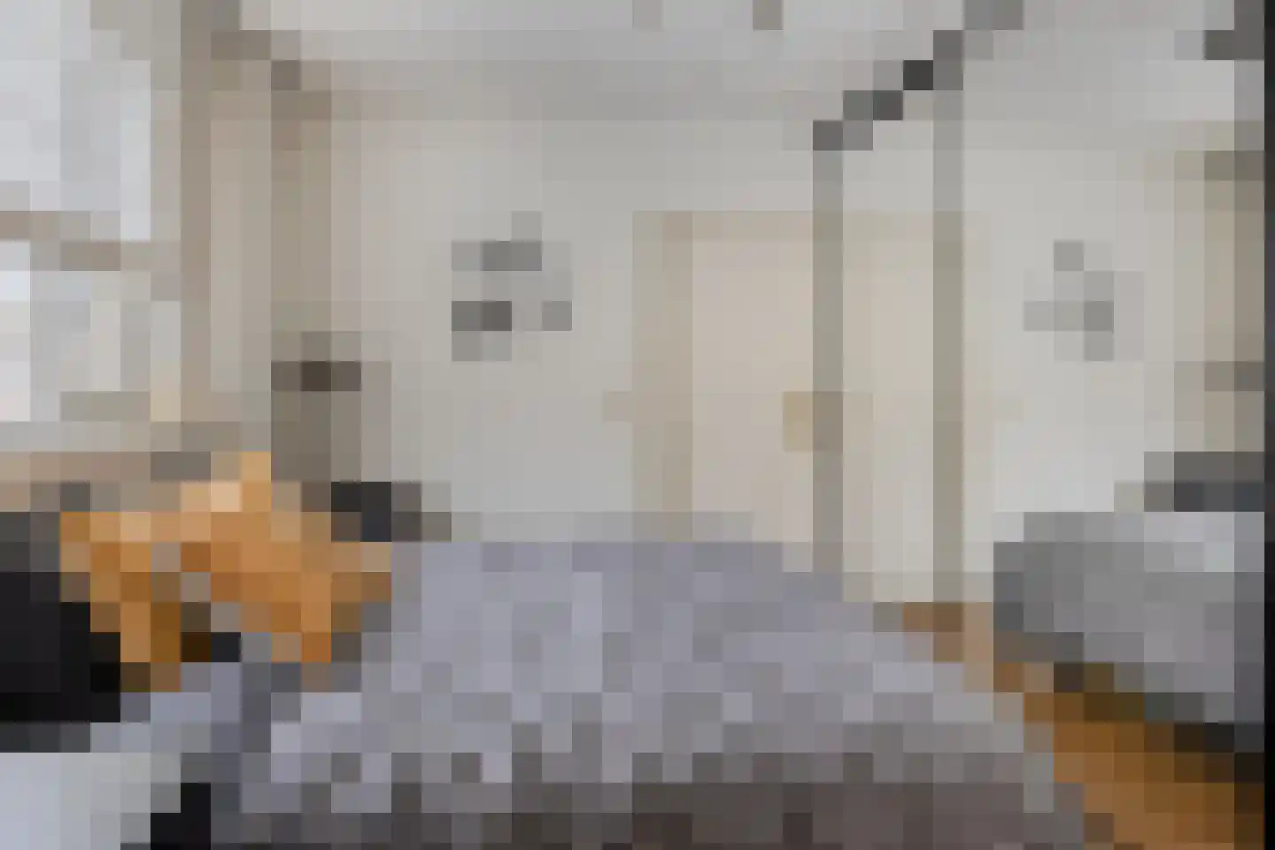 Veluwelaan 2 Wezep thumbnail 36