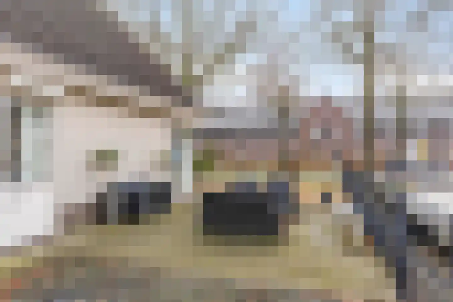 Veluwelaan 2 Wezep thumbnail 5