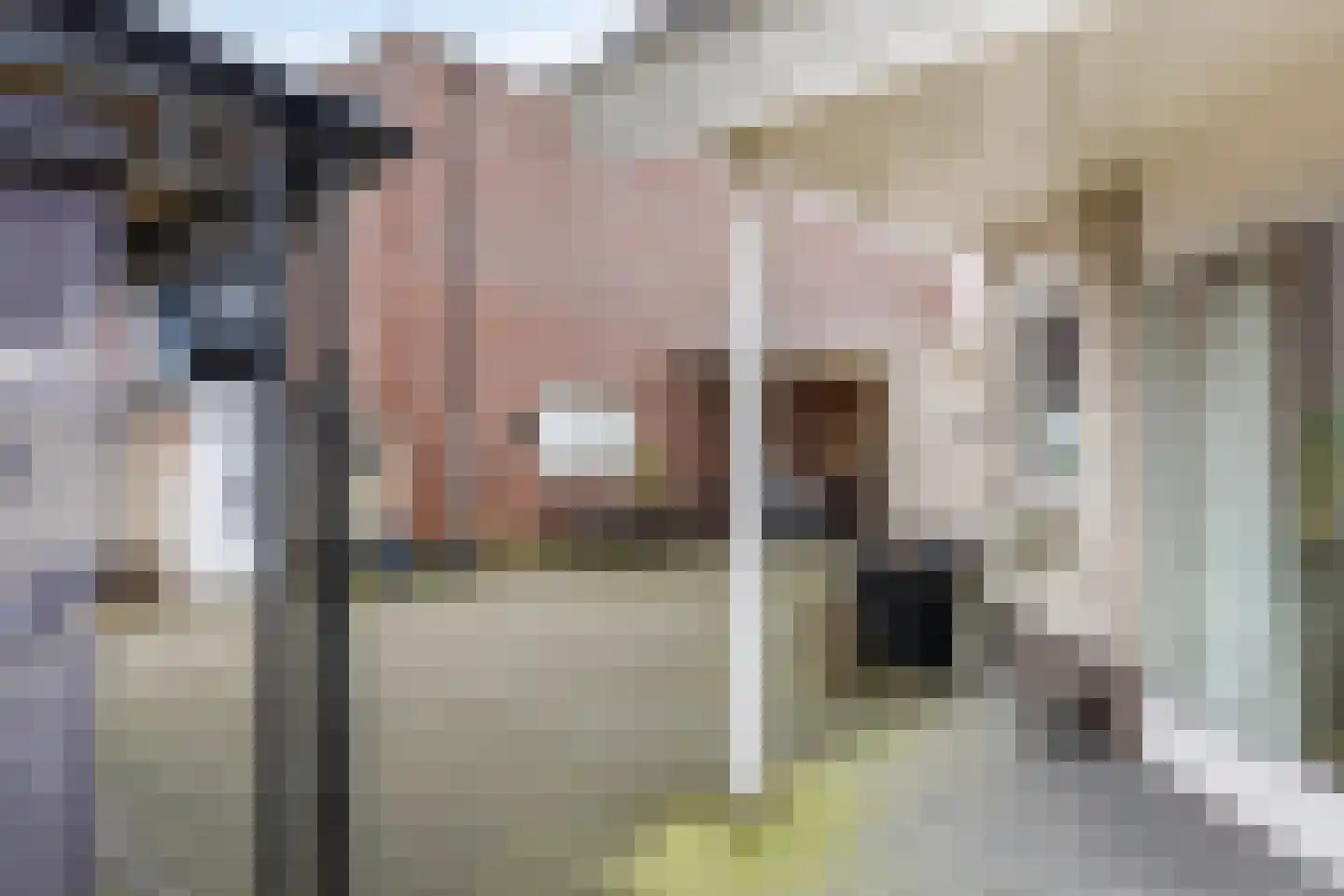 Veluwelaan 2 Wezep thumbnail 7