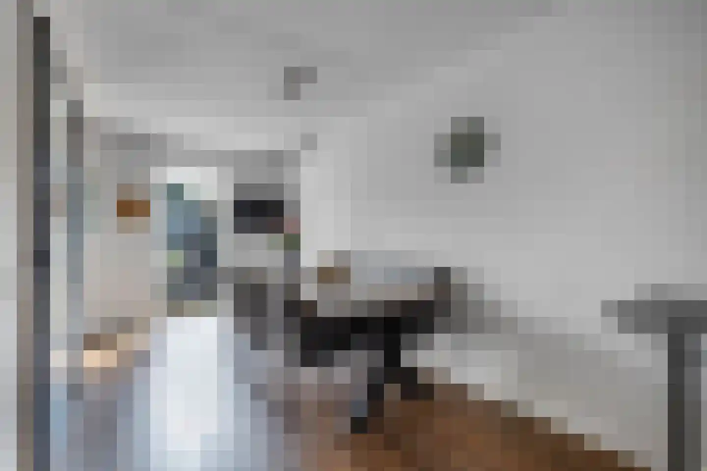 Veluwelaan 25 Emmeloord thumbnail 15