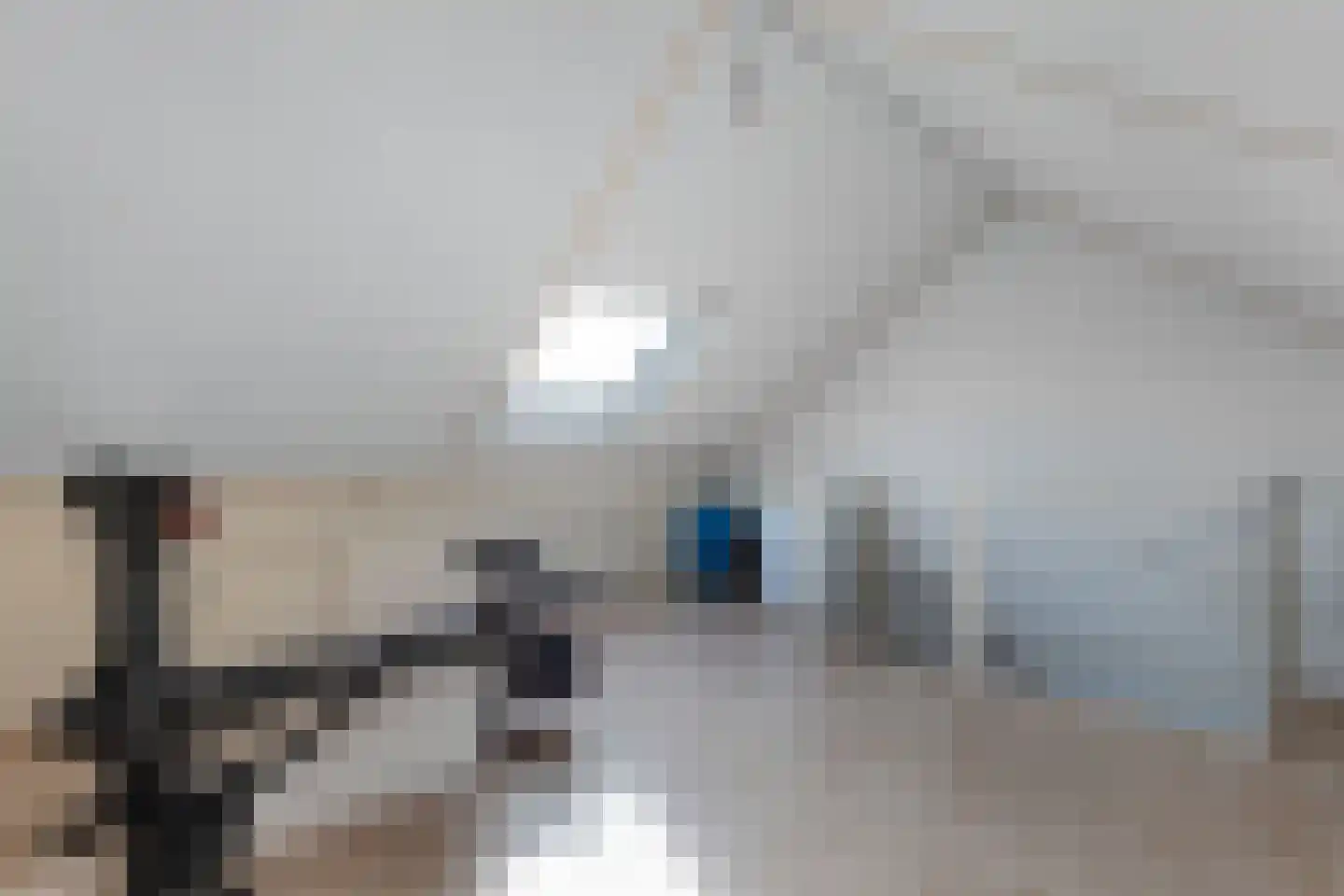 Veluwelaan 25 Emmeloord thumbnail 28