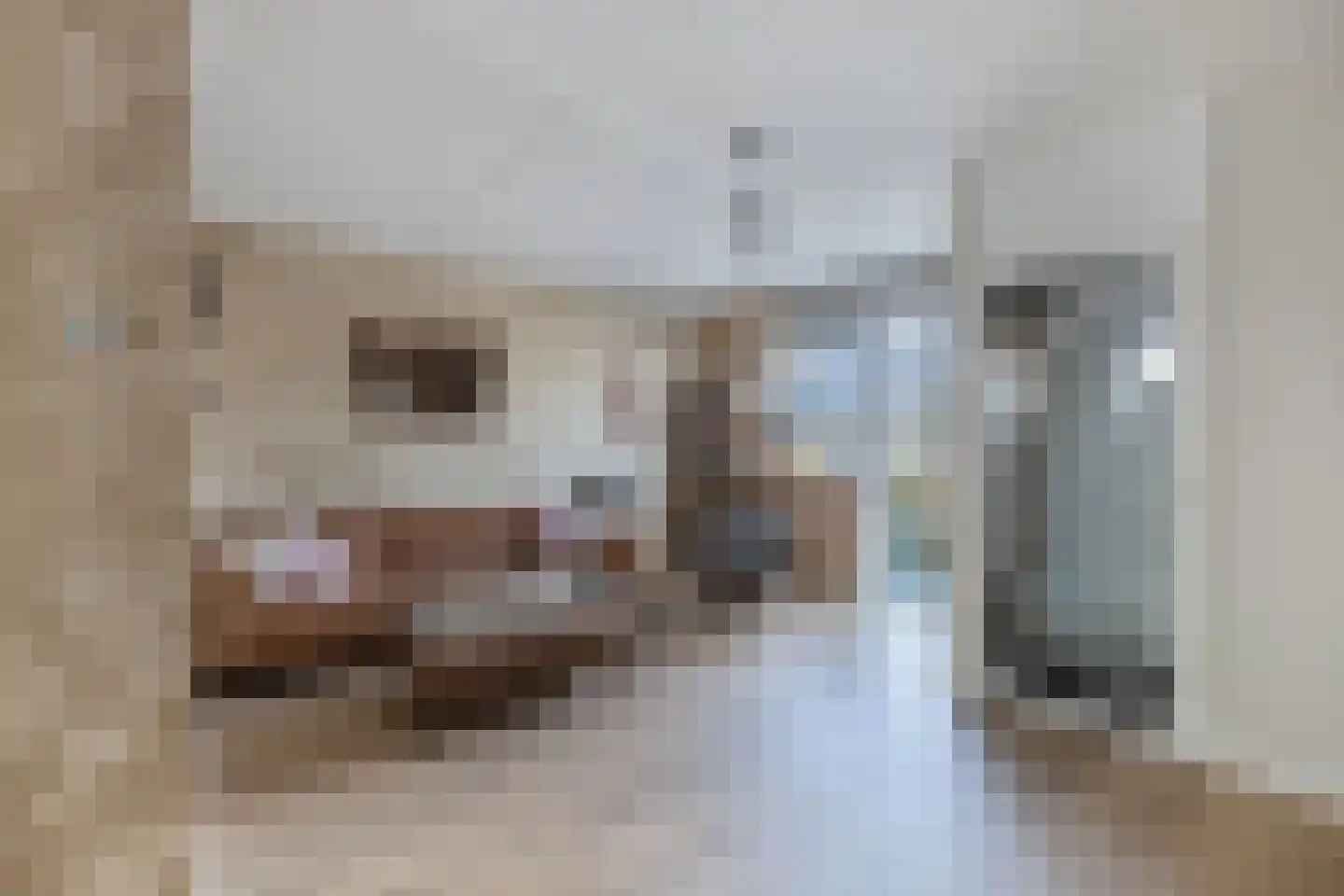 Veluwelaan 31 Emmeloord thumbnail 11