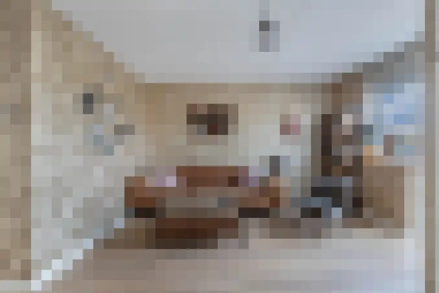 Veluwelaan 31 Emmeloord thumbnail 12