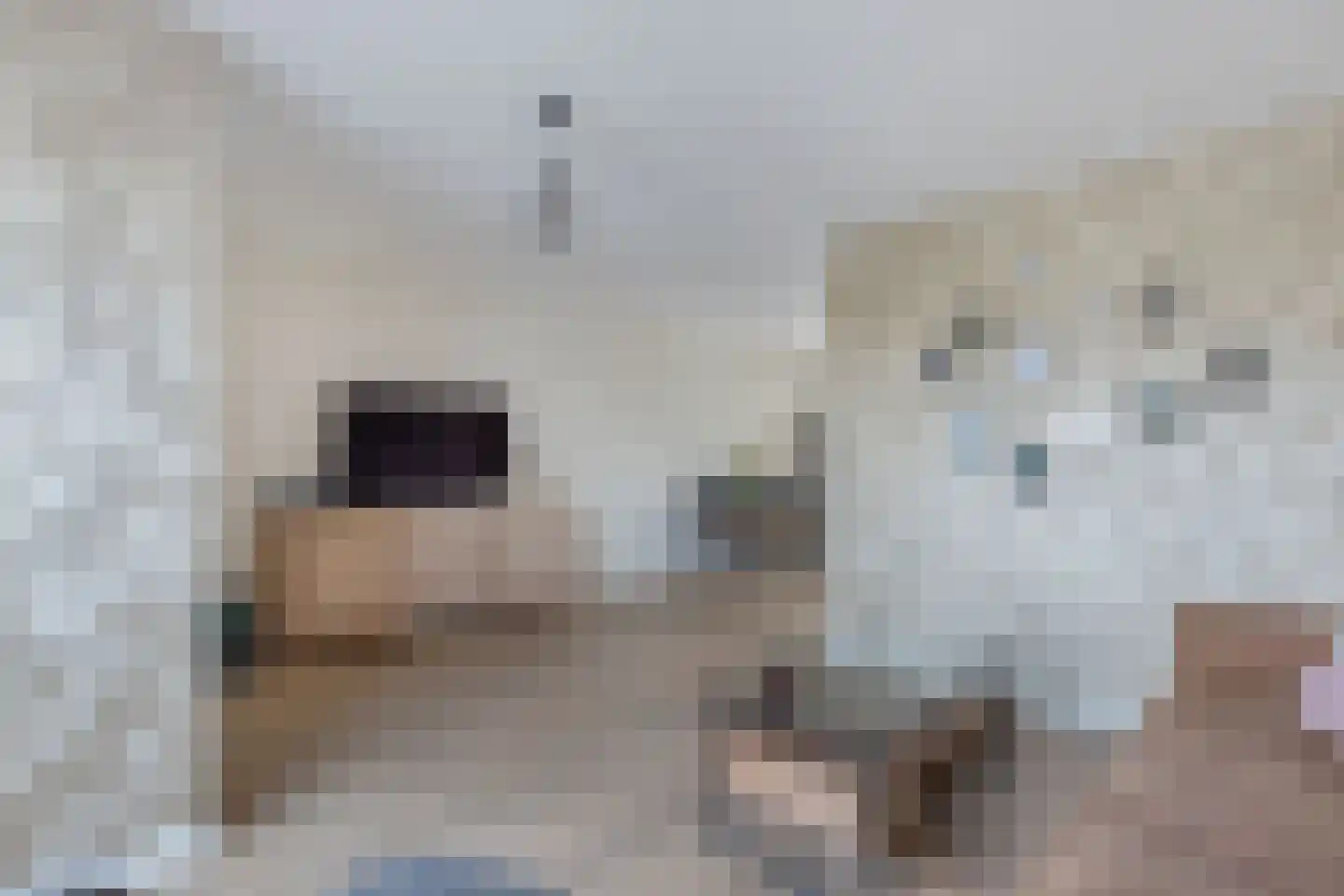 Veluwelaan 31 Emmeloord thumbnail 13