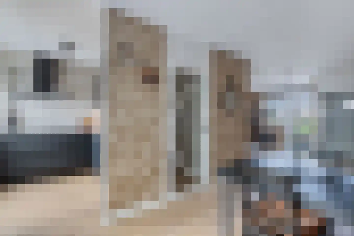 Veluwelaan 31 Emmeloord thumbnail 19