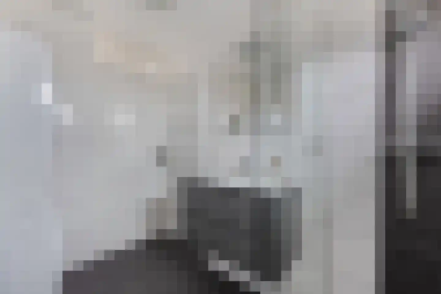 Veluwelaan 31 Emmeloord thumbnail 26