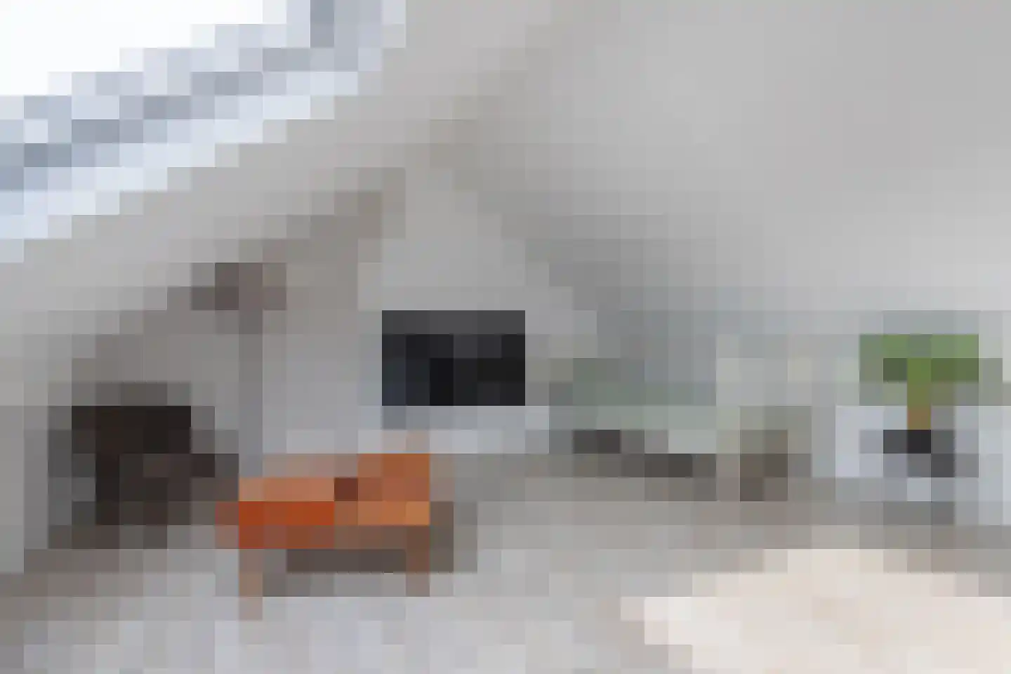 Veluwelaan 31 Emmeloord thumbnail 31