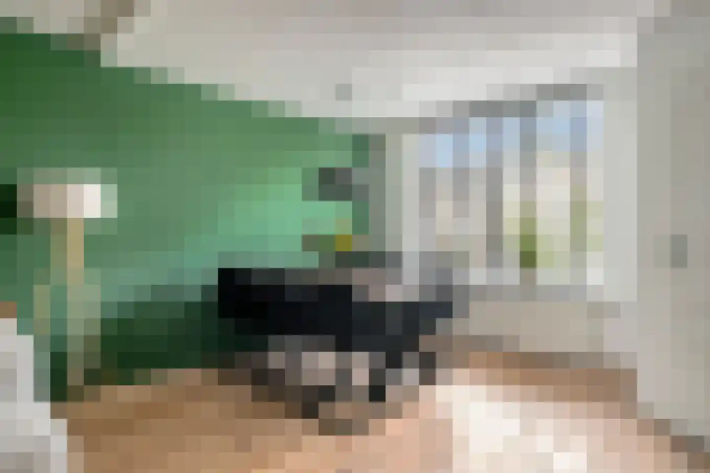 Veluwelaan 55 Emmeloord thumbnail 10