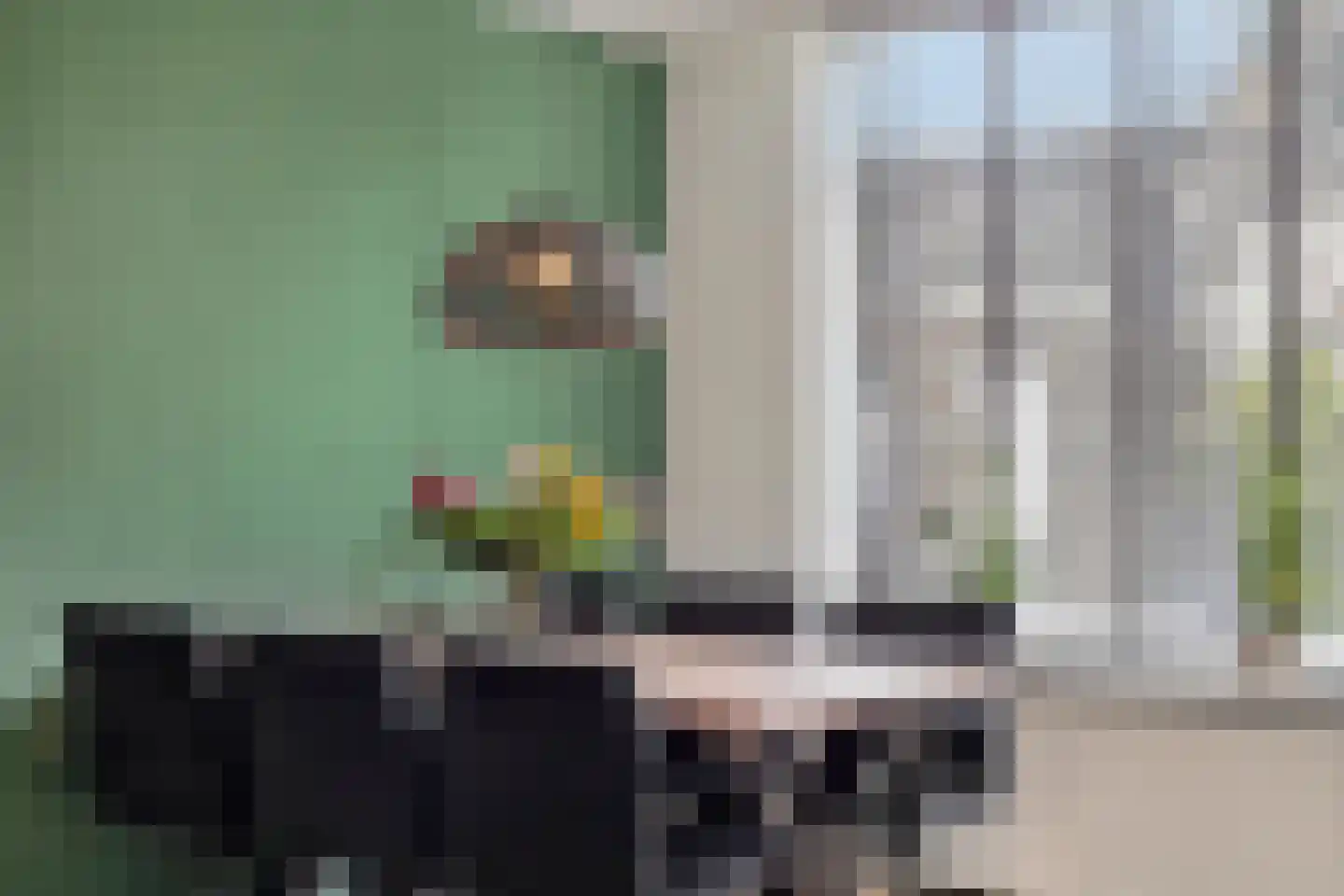 Veluwelaan 55 Emmeloord thumbnail 11