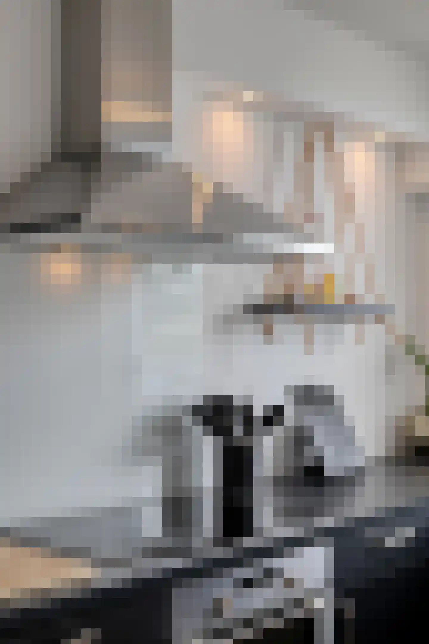 Veluwelaan 55 Emmeloord thumbnail 15