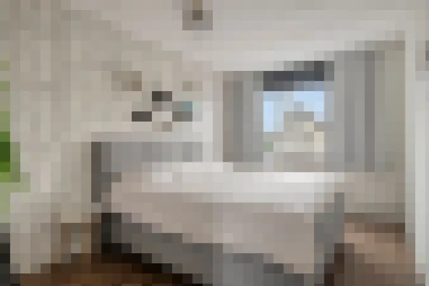Veluwelaan 55 Emmeloord thumbnail 20