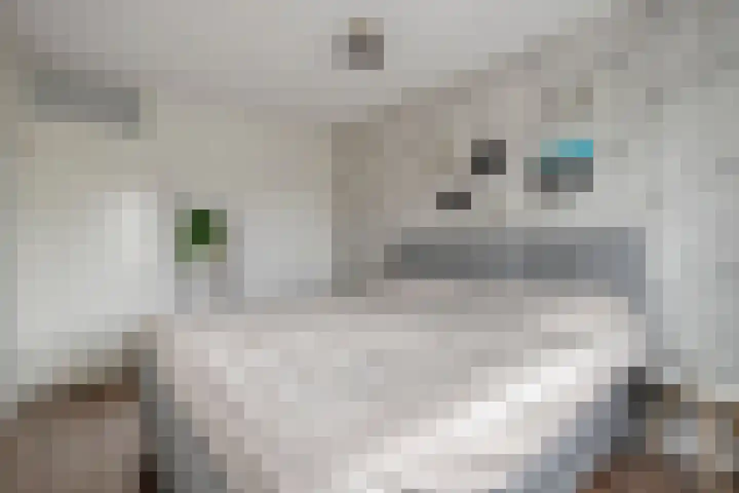 Veluwelaan 55 Emmeloord thumbnail 21