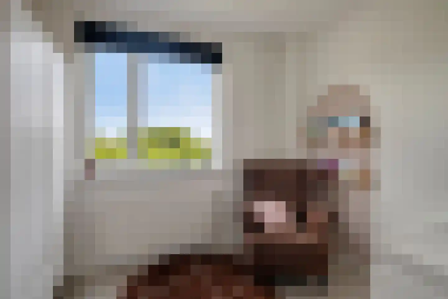 Veluwelaan 55 Emmeloord thumbnail 26