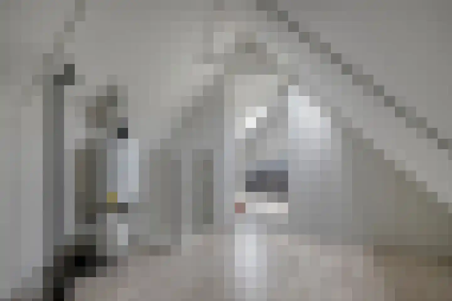 Veluwelaan 55 Emmeloord thumbnail 28
