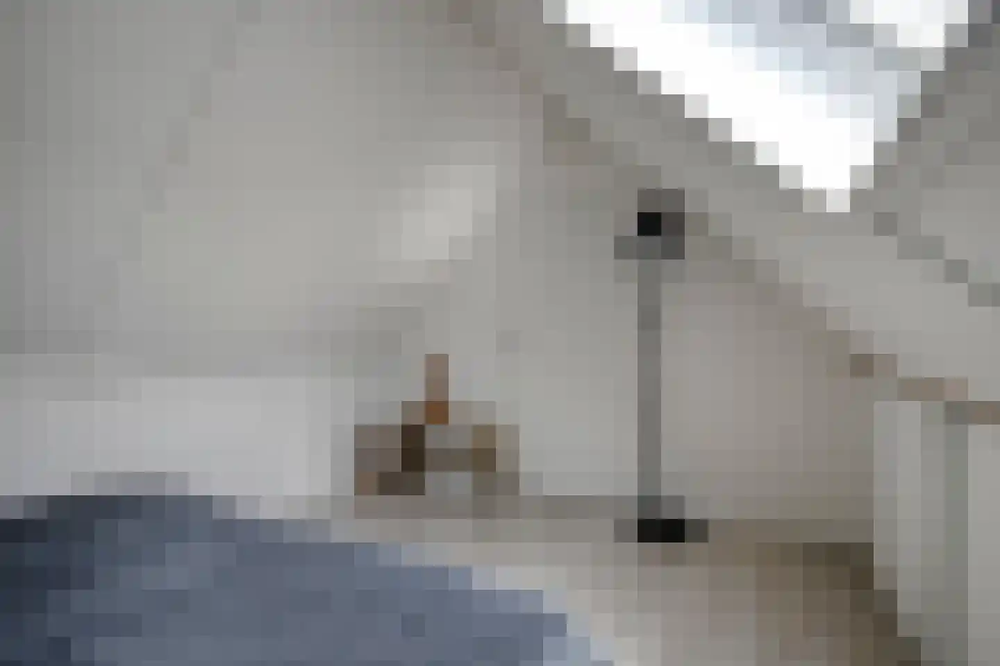 Veluwelaan 55 Emmeloord thumbnail 31