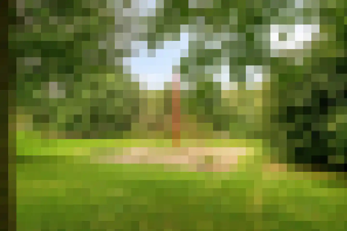 Veluwelaan 55 Emmeloord thumbnail 37