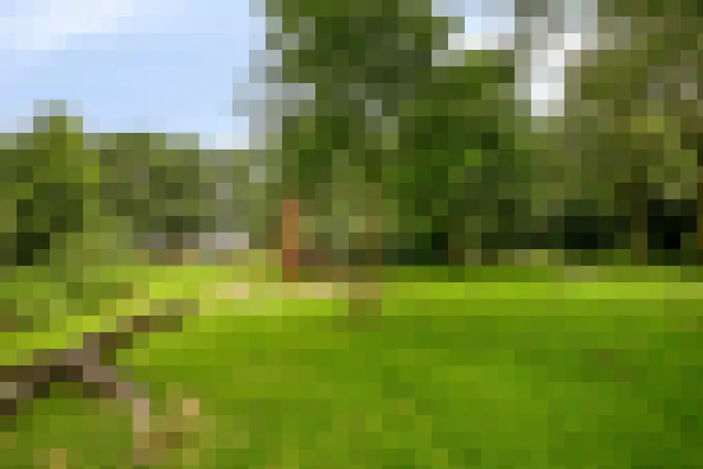Veluwelaan 55 Emmeloord thumbnail 38