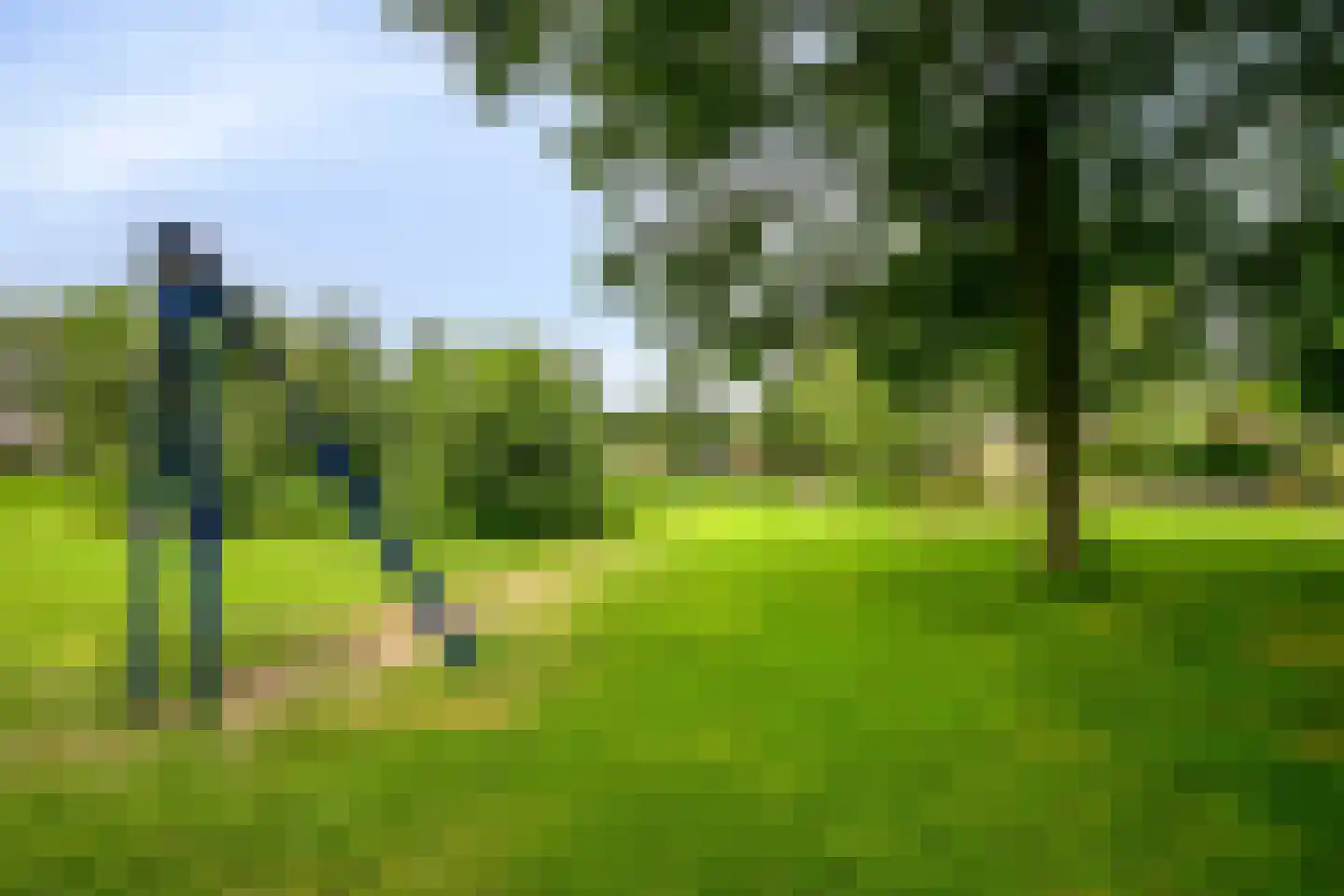 Veluwelaan 55 Emmeloord thumbnail 39