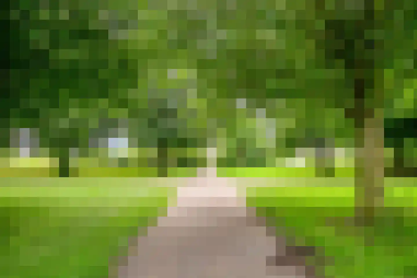Veluwelaan 55 Emmeloord thumbnail 40